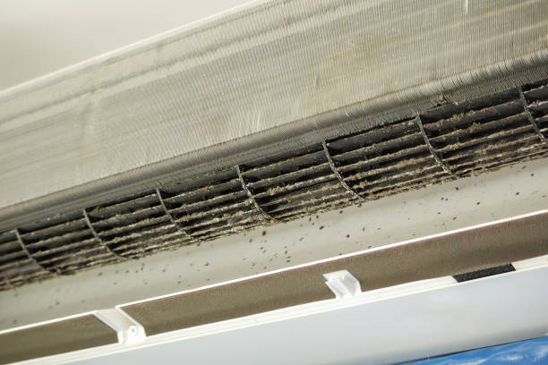 Best Duct Cleaning for Homes  in Beaver Dam Lake, NY